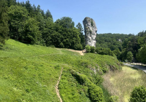 Zdjęcie 12 na 25