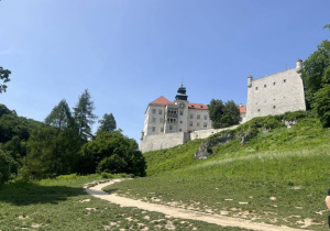 Zdjęcie 17 na 25